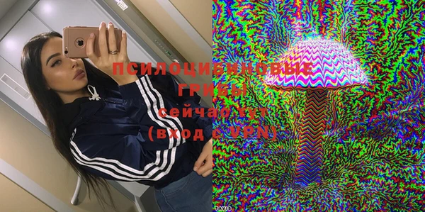 apvp Магас