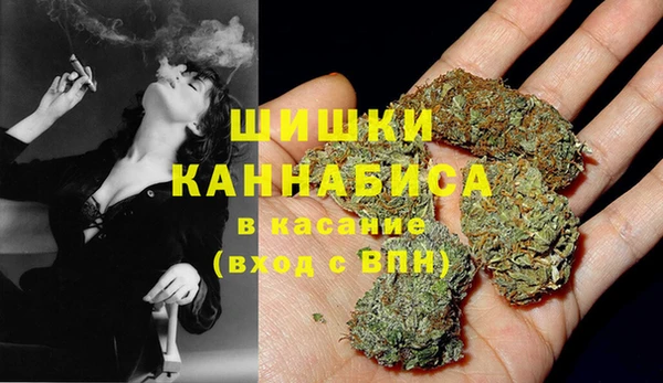 стафф Магадан