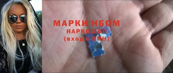 твердый Бердск