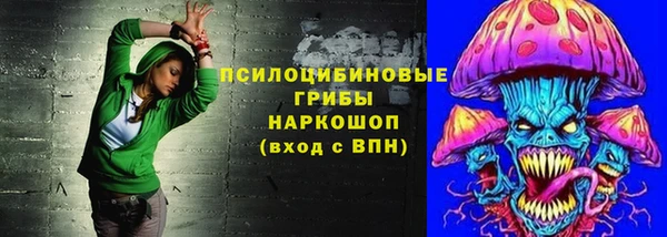 стафф Магадан