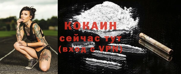 apvp Магас